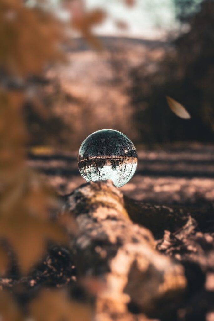 Preciso processar alguém 1 Glass Ball on Wood